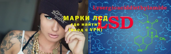 шишки Киров