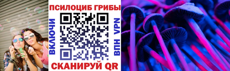 Купить  Касли  Галлюциногенные грибы Psilocybine cubensis 